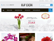 Tablet Screenshot of elifcicek.net